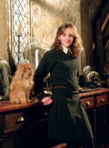 hermione-and-crookshanks