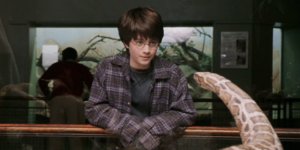 nagini harry potter