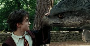 harry_potter_buckbeak