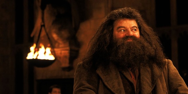 Hagrid in the great halll