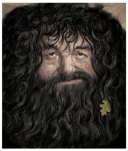 Jim Kay Chamber of Secrets - Hagrid