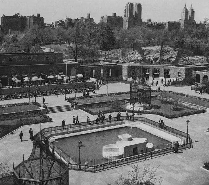 Central Park Zoo_03_1936