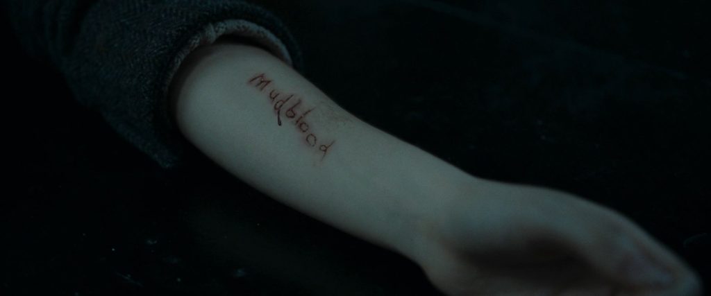 Mudblood Carved Into Hermione's Arm