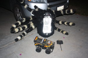 Spider + Car