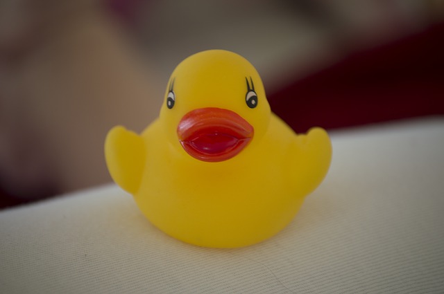 duck-701147_640