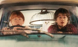 Harry and Ron looking scared in the Ford Angelina with Hedwig in her cage in the back