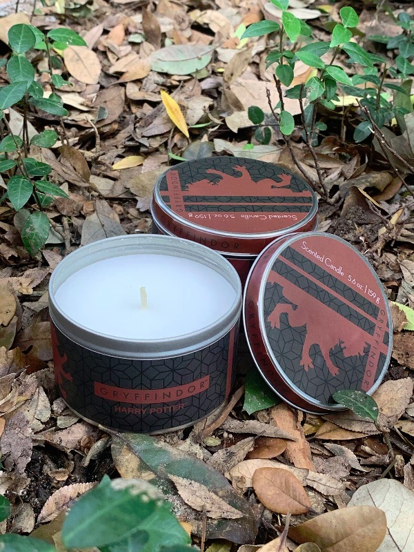 A First Look at New Harry Potter Candles, Cards, and More from Insight  Editions