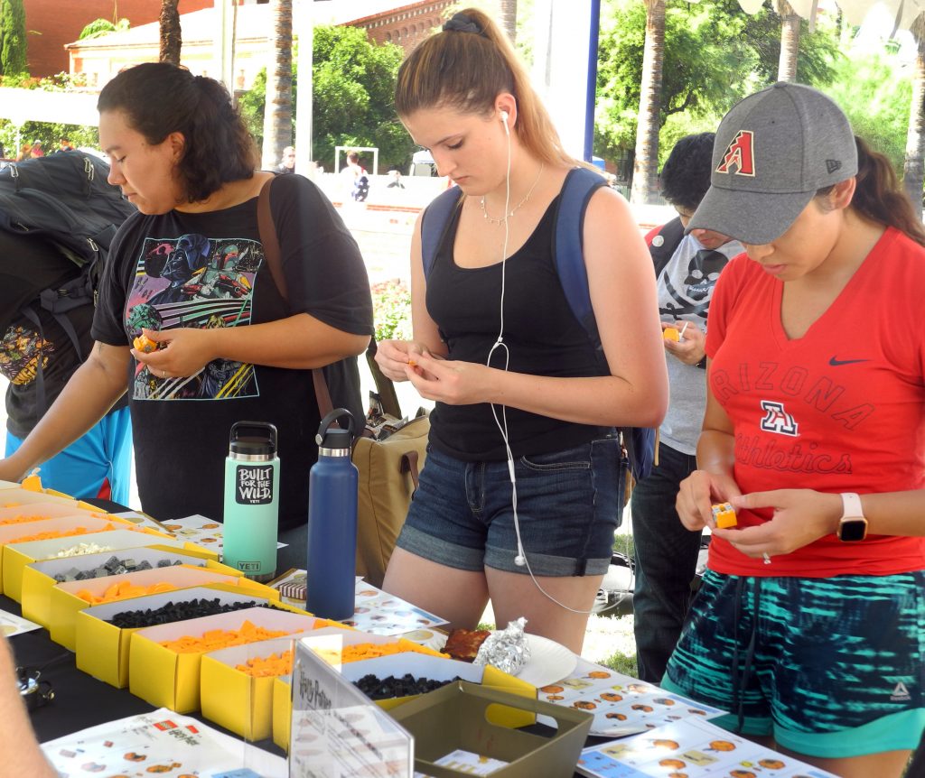 University of Arizona students work to construct Golden Snitches from LEGO bricks during a Back to Hogwarts event.