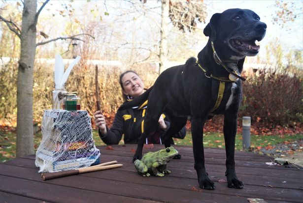 Harry Potter Pup Pictured with His Special Friend, Megan Reilly.