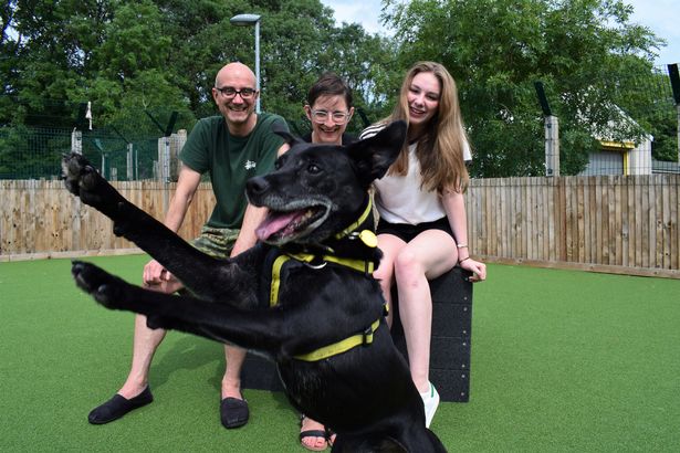 Harry Potter, the Shelter Dog, Pictured with His New Family