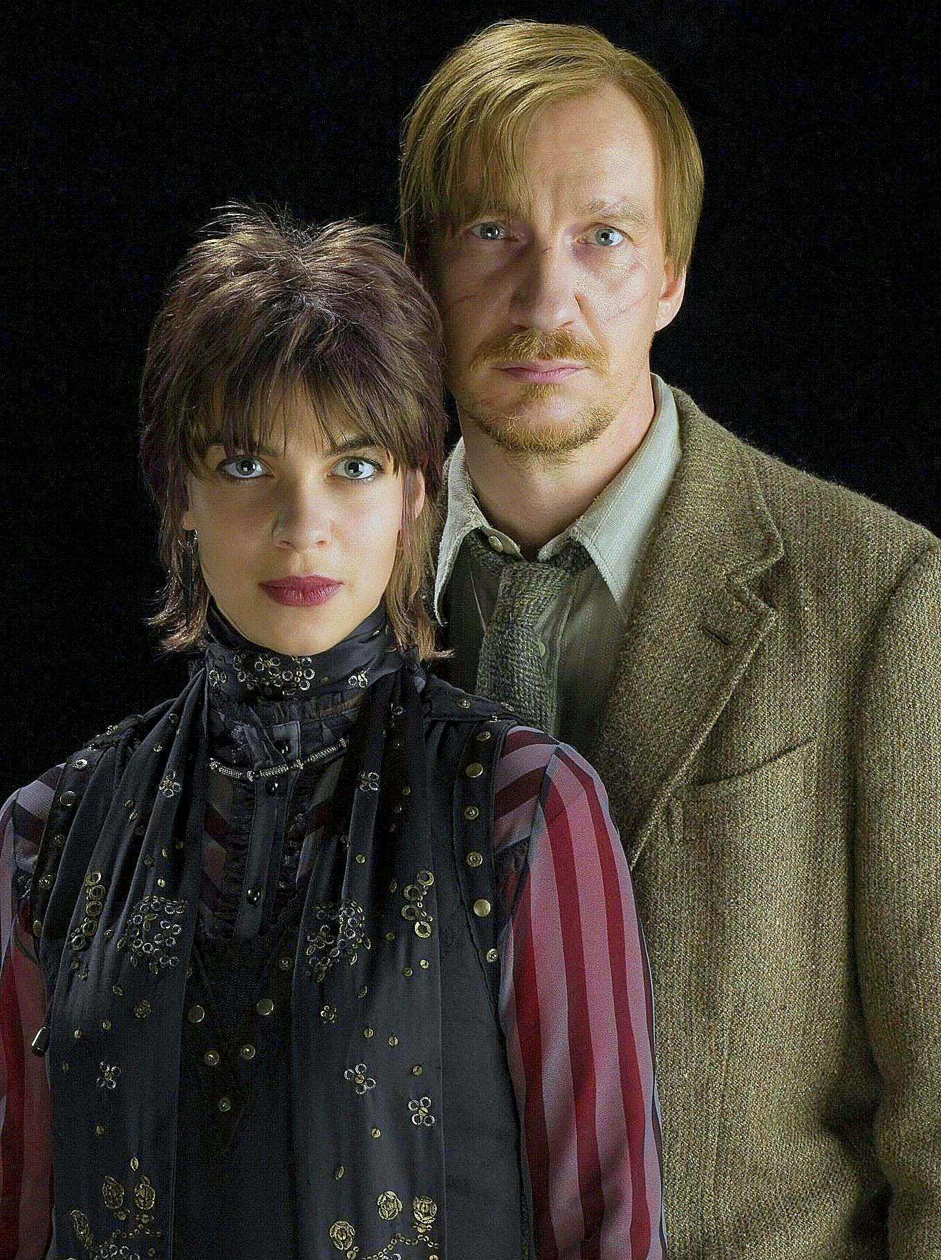 Tonks and Lupin portrait