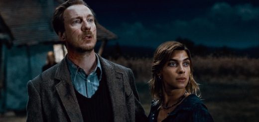 (L-r) DAVID THEWLIS as Remus Lupin and NATALIA TENA as Nymphadora Tonks in Warner Bros. Pictures’ fantasy adventure “HARRY POTTER AND THE DEATHLY HALLOWS – PART 1,” a Warner Bros. Pictures release