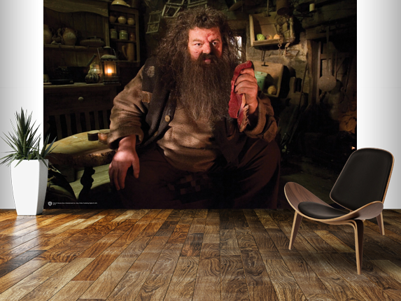 Hagrid 2 mural