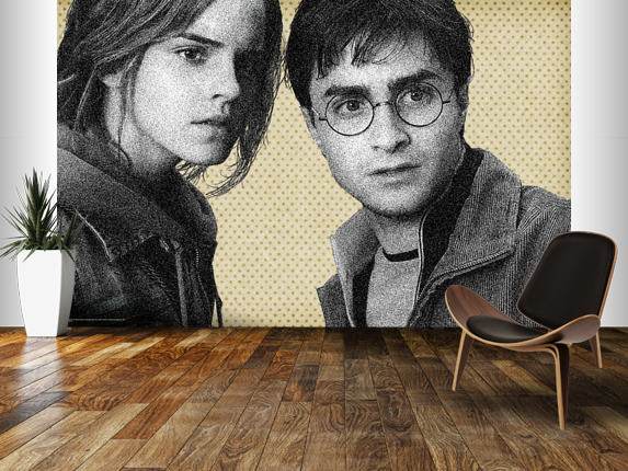 Harry and Hermione mural