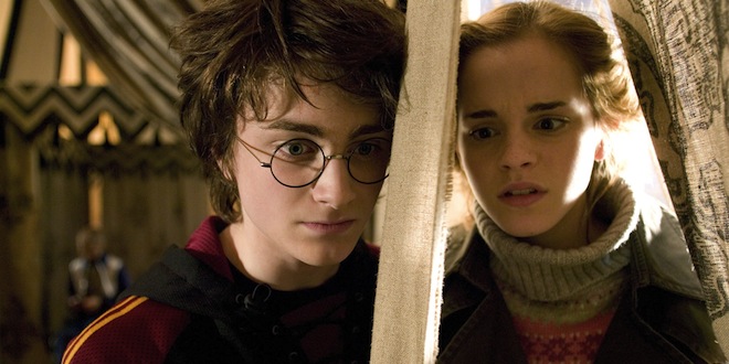 Harry Potter 1 - Hermione - Holy cricket you're harry pott 20989445581