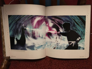 Two pages depicting Harry and Voldemort from the Character Vault