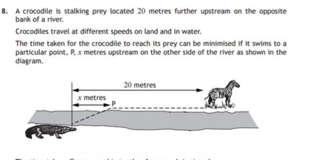 Crocodile Math Problem