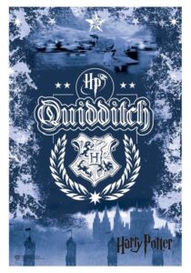 Poster from the Quidditch Set from Running Press