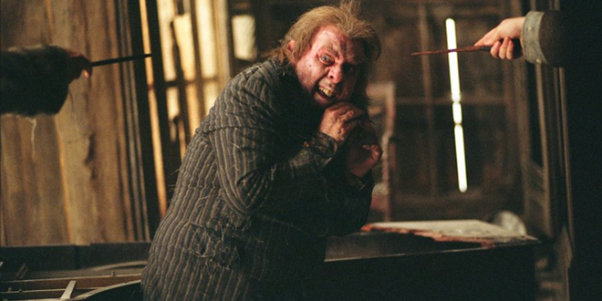 Peter Pettigrew Actor