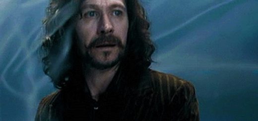 Sirius Black Order of the Phoenix Department of Mysteries