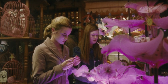 What is your opinion on Ron using the '12 Fail-Safe ways To Charm Witches'  to woo Hermione? - Quora