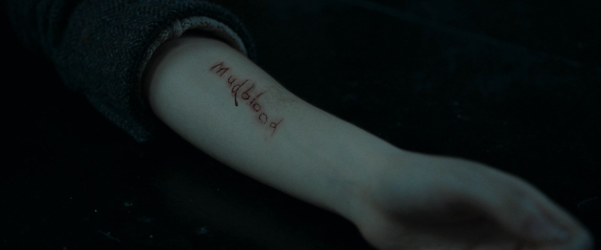 Mudblood Carved Into Hermione's Arm.