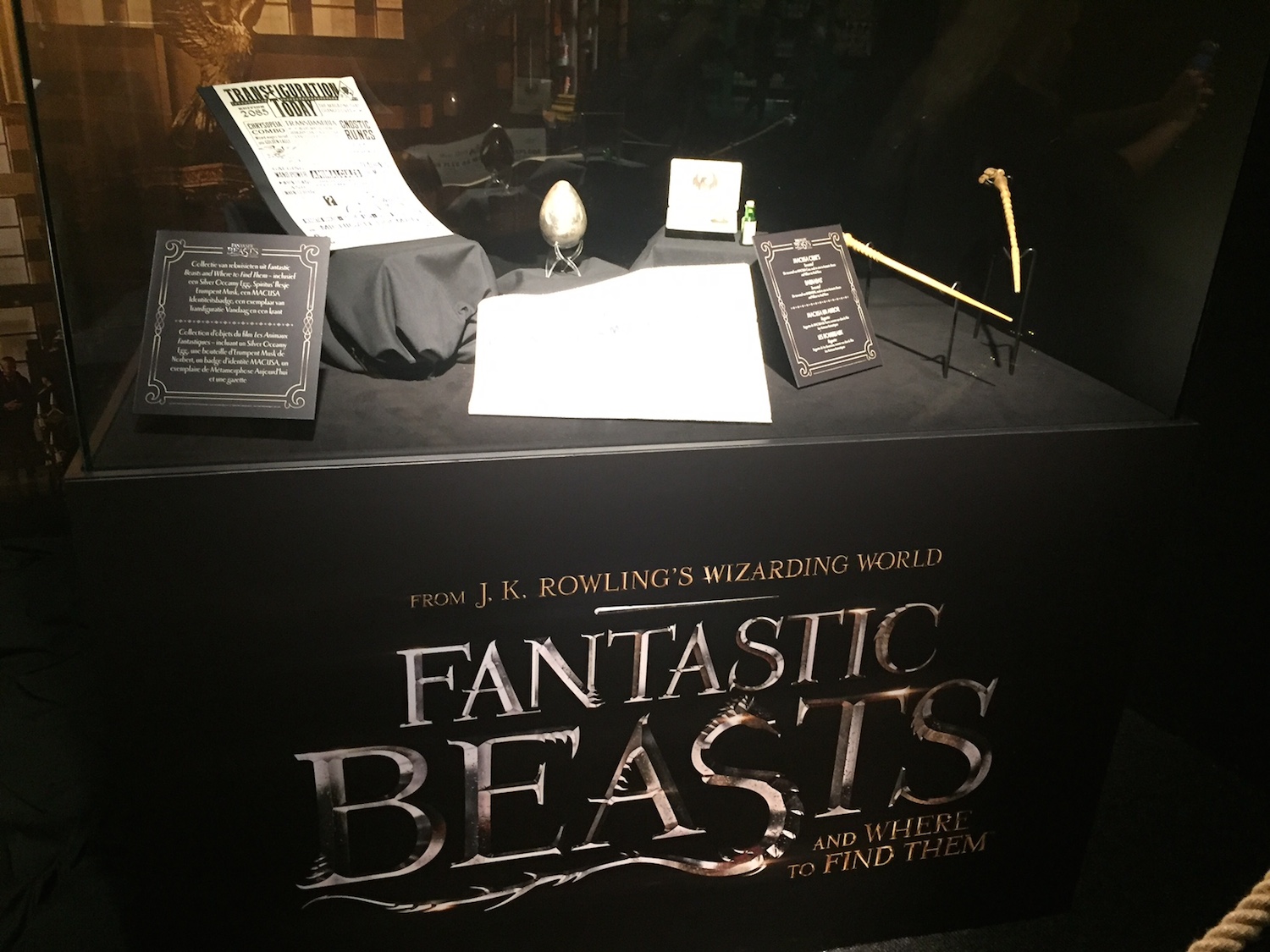 Props from “Fantastic Beasts and Where to Find Them”