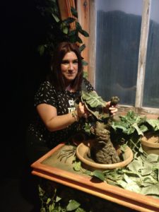 Maria pulls a mandrake from a pot in the Herbology classroom