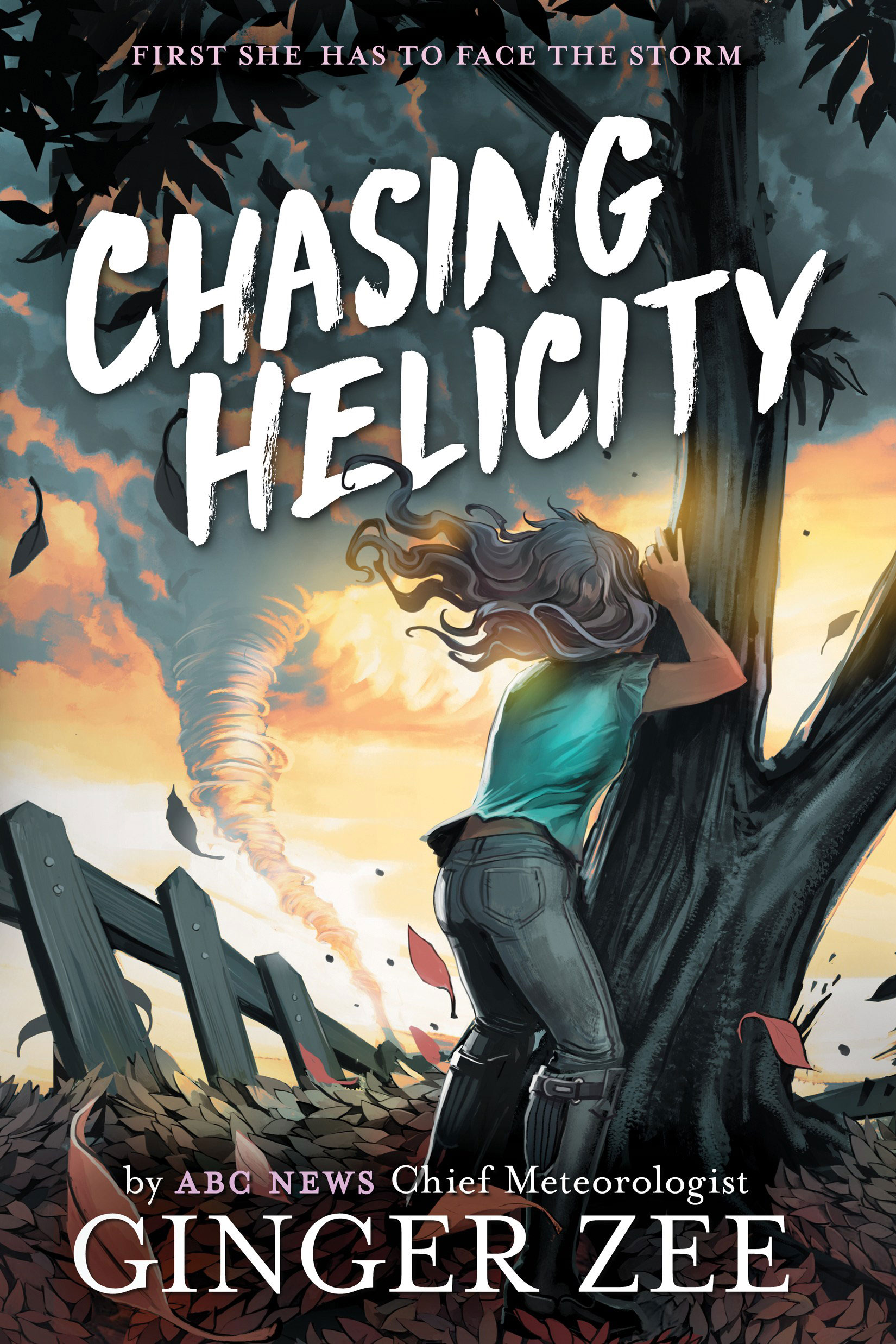 Chasing Helicity