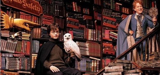Harry Potter and Gilderoy Lockhart at Flourish and Blotts