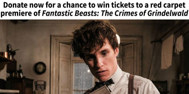 nike football boots indoor