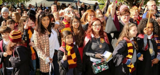 Attendees at the Chestnut Hill festival are pictured.