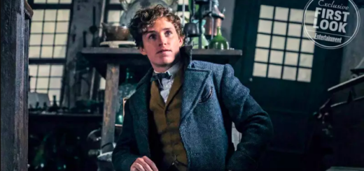 Eddie Redmayne as Newt Scamander