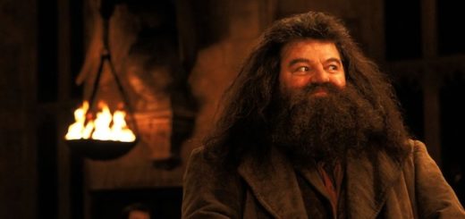 A picture of Hagrid.