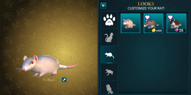 “Hogwarts Mystery” players are now able to choose between three different types of rats: white, brown and grey!