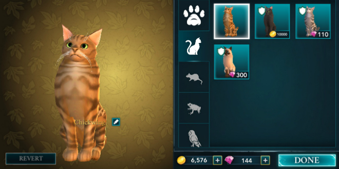 “Hogwarts Mystery” players are now able to choose between four different  types of cats: ginger, black, striped or Siamese!