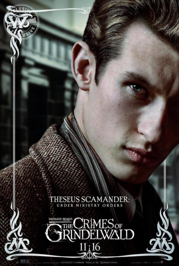 It Should Be a Crime Not to Love Theseus Scamander