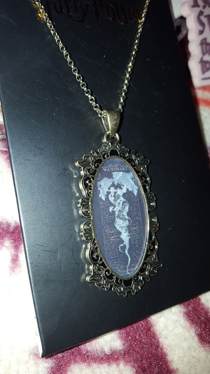Necklace included in this month’s limited-edition box