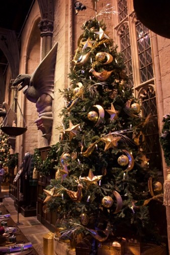 Christmas tree in the Great Hall