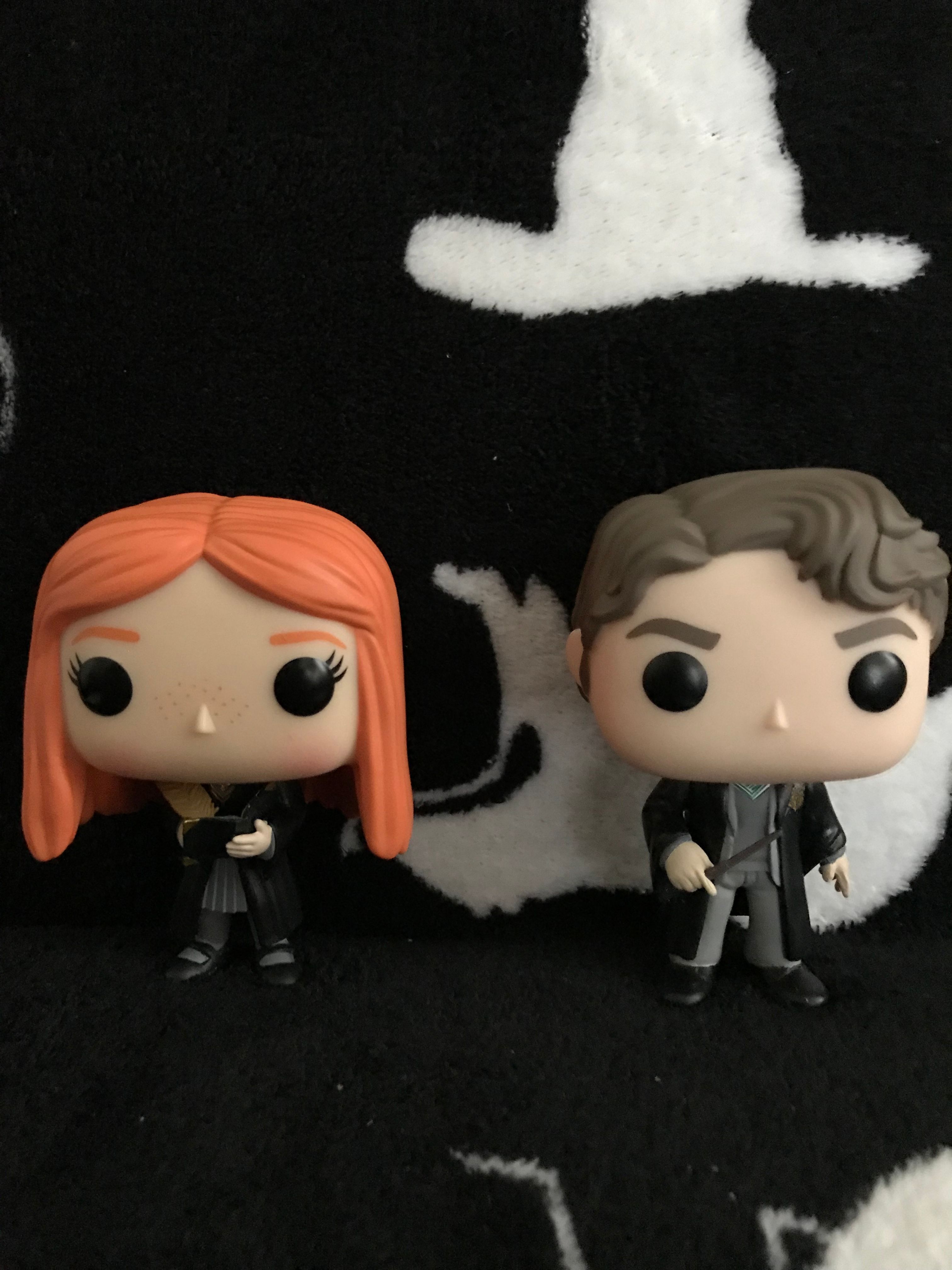 Ginny Weasley and Tom Riddle