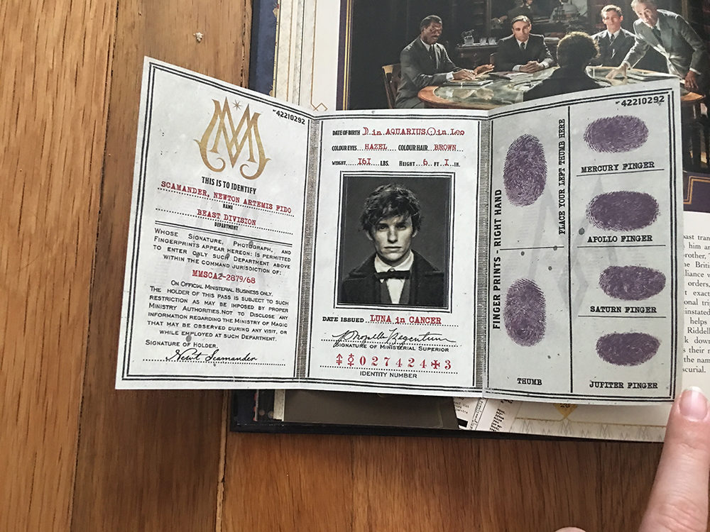 Newt’s Ministry of Magic identification card