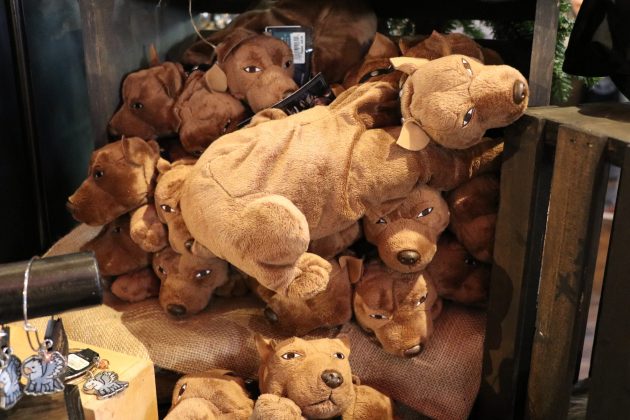 You can purchase your very own three-headed dog! Would you name yours Fluffy as well?