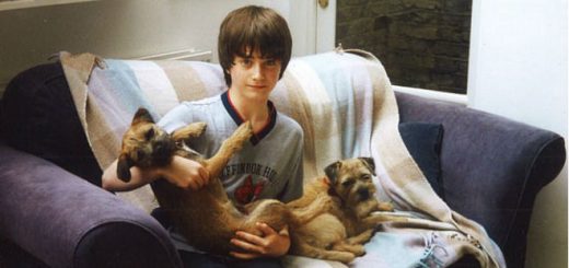 A childhood photo of Daniel Radcliffe is shown as a featured image.