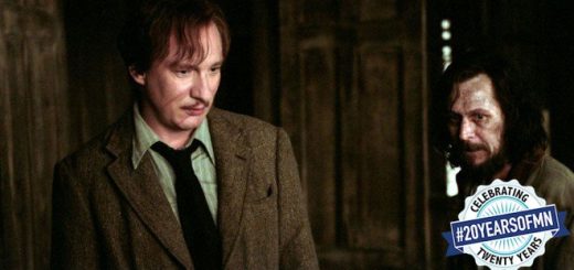 Dramione Character Traps: Ron Weasley