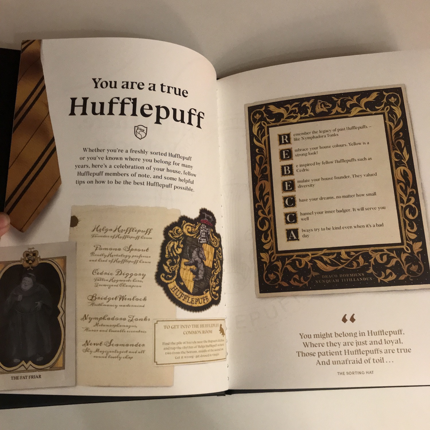 Harry Potter: Hogwarts Legacy Journal