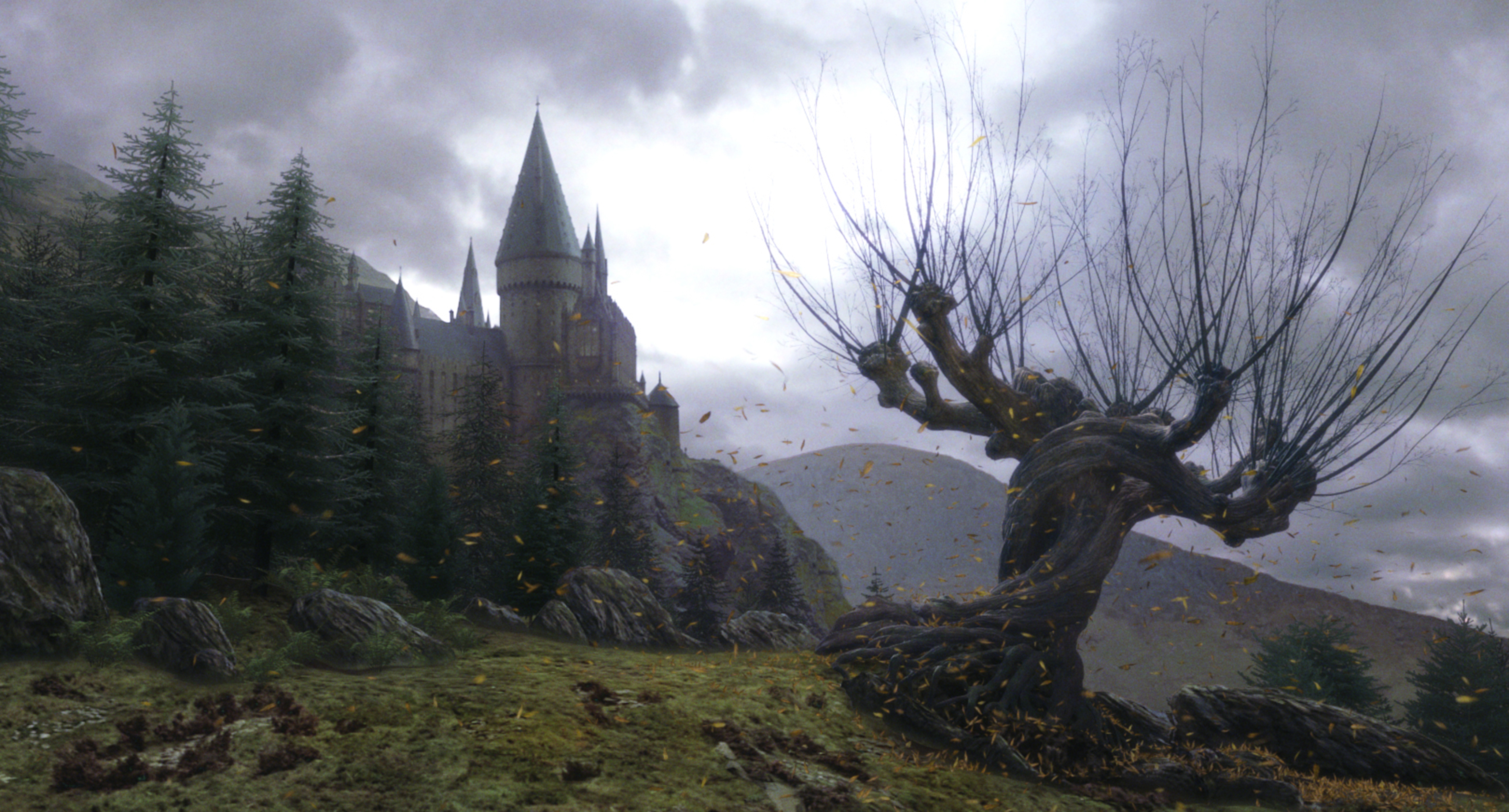 THE WHOMPING WILLOW