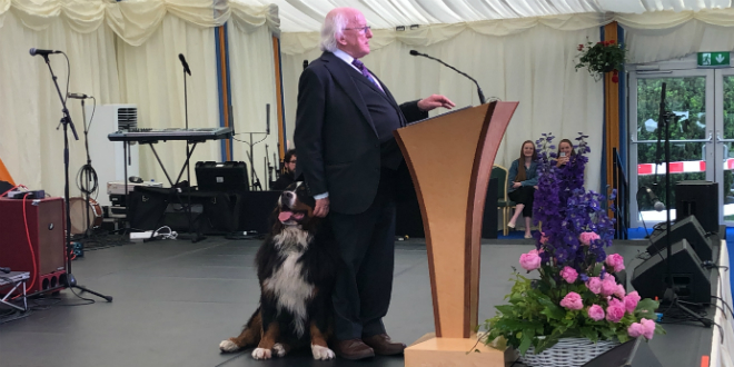 Michael D Higgins, Irish President giving a speech with his dog