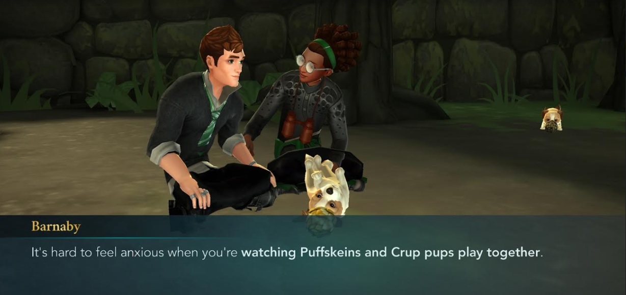 Barnaby Lee and Liz Tuttle play with Puffskeins and Crup puppies in "Harry Potter: Hogwarts Mystery".