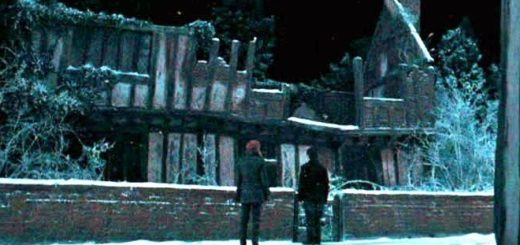 Harry and Hermione at Godric's Hollow
