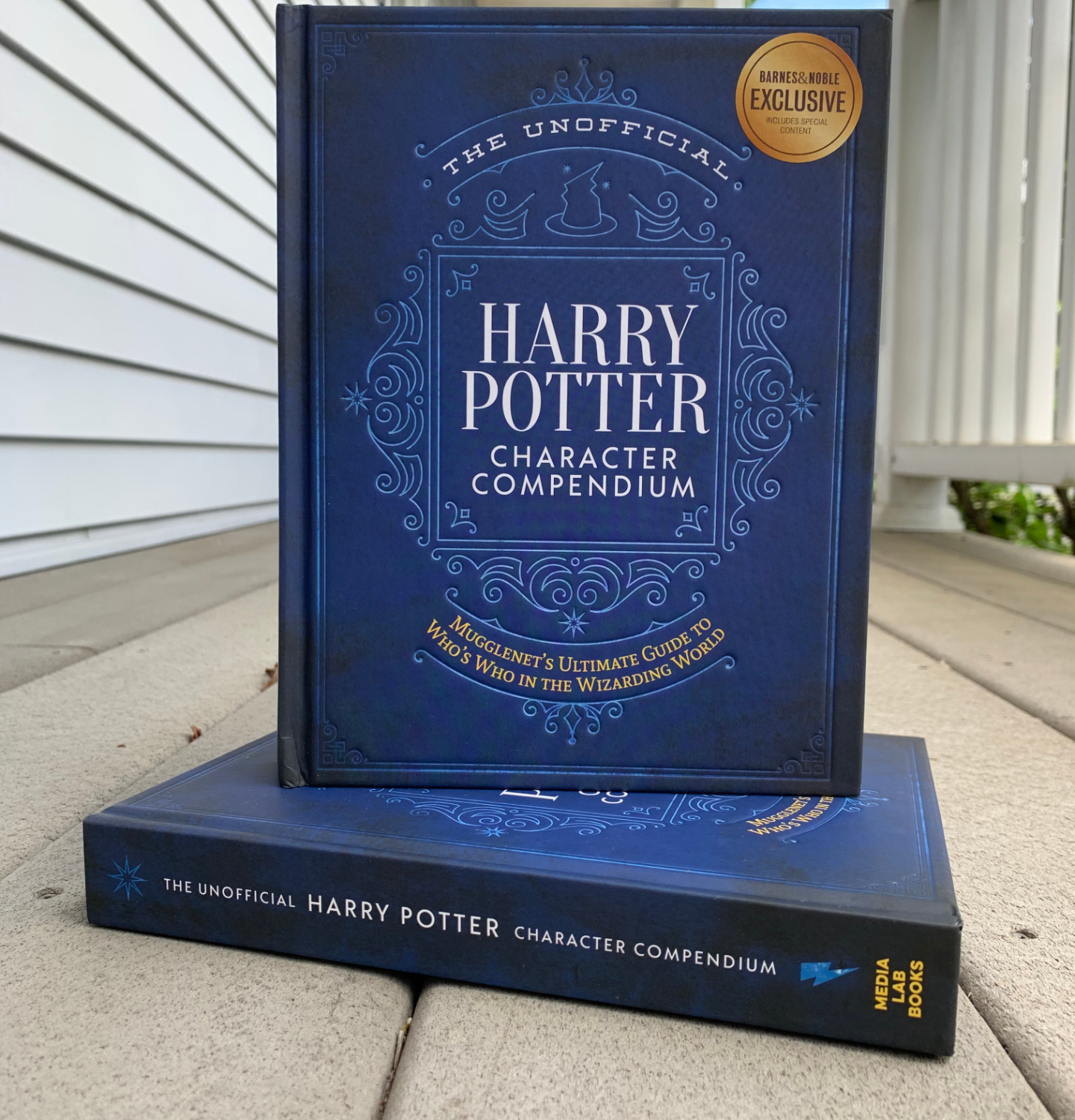 A copy of "The Unofficial Harry Potter Character Compendium" stands slightly open on top of a second copy of "The Unofficial Harry Potter Character Compendium," the spine of which faces the camera.